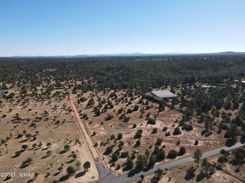 Tiny photo for TBD Iron Spur / Saddle Bow Trail, Show Low, AZ 85901 (MLS # 251430)