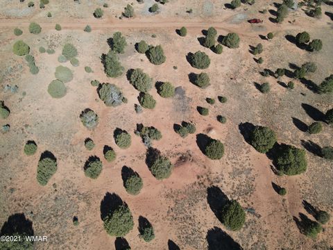Tiny photo for TBD Iron Spur / Saddle Bow Trail, Show Low, AZ 85901 (MLS # 251430)