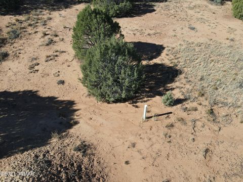 Tiny photo for TBD Iron Spur / Saddle Bow Trail, Show Low, AZ 85901 (MLS # 251430)