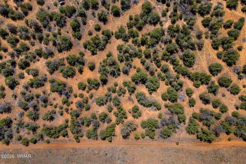 Tiny photo for 3365 Weese Run, Overgaard, AZ 85933 (MLS # 262841)
