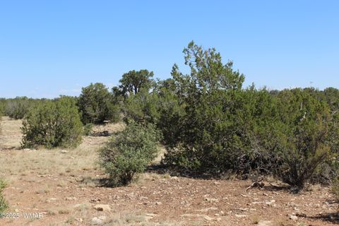 Tiny photo for Section 9 T14N,R16E, Heber, AZ 85928 (MLS # 257900)