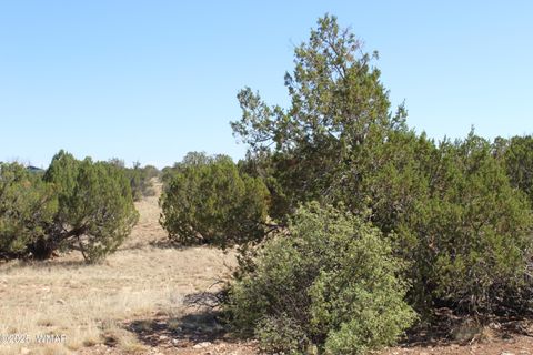 Photo of Section 9 T14N,R16E, Heber, AZ 85928 (MLS # 257900)