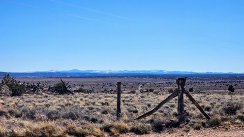 Photo of 8334 Rockin R Ranch Trail, Snowflake, AZ 85937 (MLS # 259654)