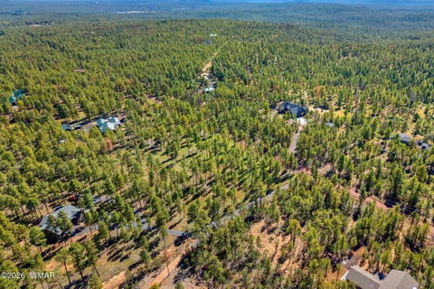 Tiny photo for 017E Rimspur, Pinetop, AZ 85935 (MLS # 263494)