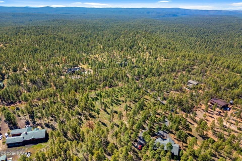 Tiny photo for 017E Rimspur, Pinetop, AZ 85935 (MLS # 263494)