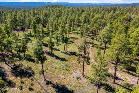 Tiny photo for 017E Rimspur, Pinetop, AZ 85935 (MLS # 263494)