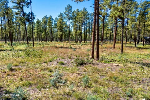 Tiny photo for 017E Rimspur, Pinetop, AZ 85935 (MLS # 263494)