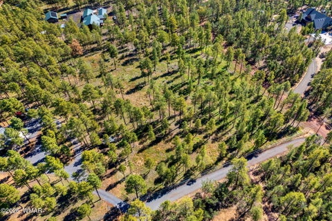 Tiny photo for 017E Rimspur, Pinetop, AZ 85935 (MLS # 263494)