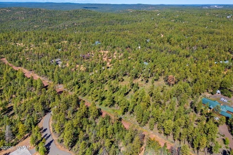 Tiny photo for 017E Rimspur, Pinetop, AZ 85935 (MLS # 263494)