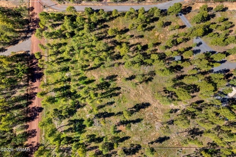 Tiny photo for 017E Rimspur, Pinetop, AZ 85935 (MLS # 263494)