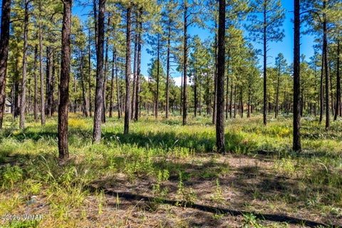 Tiny photo for 017E Rimspur, Pinetop, AZ 85935 (MLS # 263494)