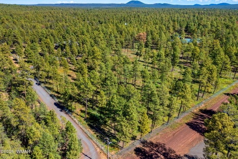 Tiny photo for 017E Rimspur, Pinetop, AZ 85935 (MLS # 263494)