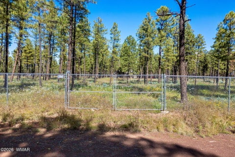 Tiny photo for 017E Rimspur, Pinetop, AZ 85935 (MLS # 263494)
