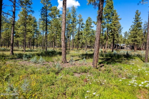 Tiny photo for 017E Rimspur, Pinetop, AZ 85935 (MLS # 263494)