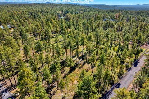 Tiny photo for 017E Rimspur, Pinetop, AZ 85935 (MLS # 263494)