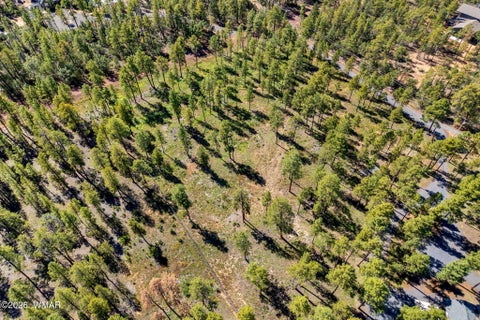 Tiny photo for 017E Rimspur, Pinetop, AZ 85935 (MLS # 263494)