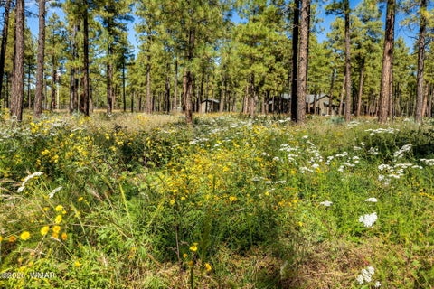 Tiny photo for 017E Rimspur, Pinetop, AZ 85935 (MLS # 263494)