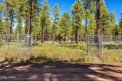 Tiny photo for 017E Rimspur, Pinetop, AZ 85935 (MLS # 263494)