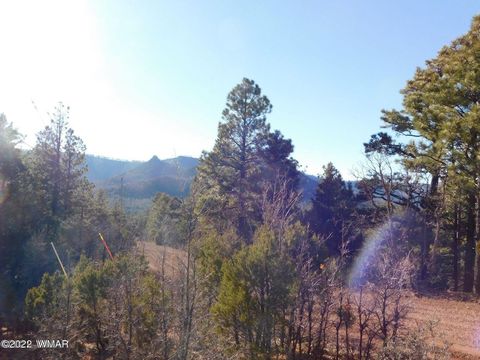 Tiny photo for LOT 34, COUNTY RD. 2279, Nutrioso, AZ 85932 (MLS # 246587)