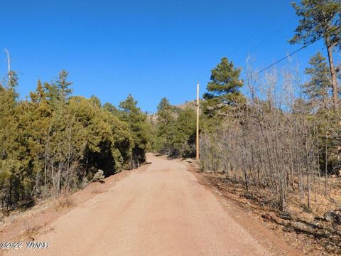 Tiny photo for LOT 34, COUNTY RD. 2279, Nutrioso, AZ 85932 (MLS # 246587)