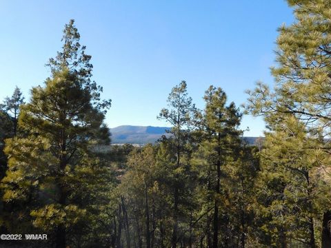 Tiny photo for LOT 34, COUNTY RD. 2279, Nutrioso, AZ 85932 (MLS # 246587)