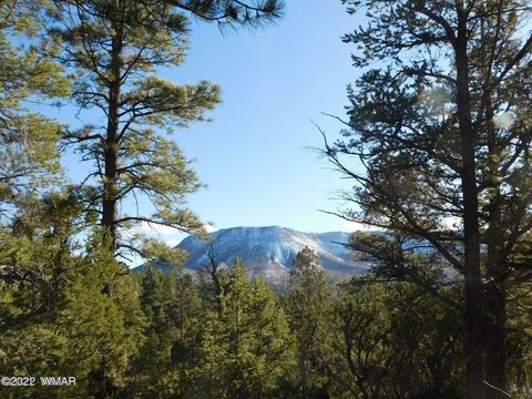 Tiny photo for LOT 34, COUNTY RD. 2279, Nutrioso, AZ 85932 (MLS # 246587)