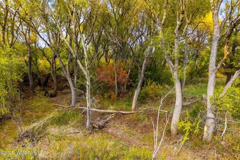 Tiny photo for 9 N3479, Vernon, AZ 85940 (MLS # 256878)