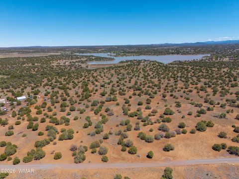 Photo of 2061 Rocky Road, Show Low, AZ 85901 (MLS # 261087)