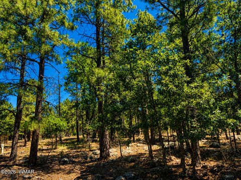 Photo of 731 Pine Creek Drive, Lakeside, AZ 85929 (MLS # 262056)