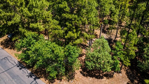 Tiny photo for 731 Pine Creek Drive, Lakeside, AZ 85929 (MLS # 262056)