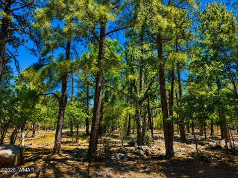 Tiny photo for 731 Pine Creek Drive, Lakeside, AZ 85929 (MLS # 262056)