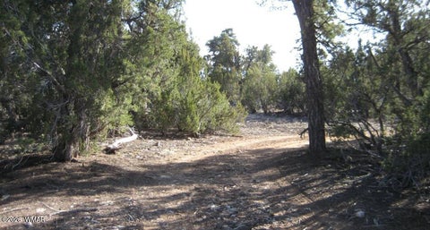 Photo of 3249 E Aspen Road, Overgaard, AZ 85933 (MLS # 263308)