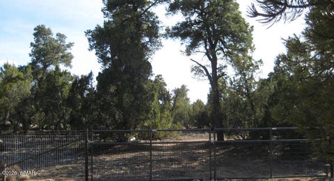 Tiny photo for 3249 E Aspen Road, Overgaard, AZ 85933 (MLS # 263308)