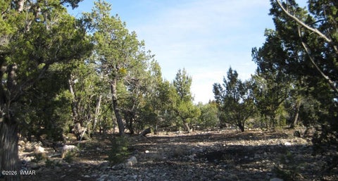 Tiny photo for 3249 E Aspen Road, Overgaard, AZ 85933 (MLS # 263308)