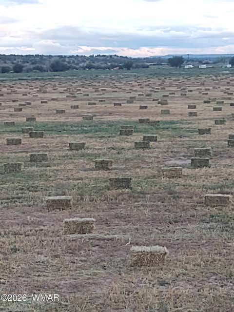 Tiny photo for 9656 Woodruff Hay Hollow Road, Snowflake, AZ 85937 (MLS # 262271)