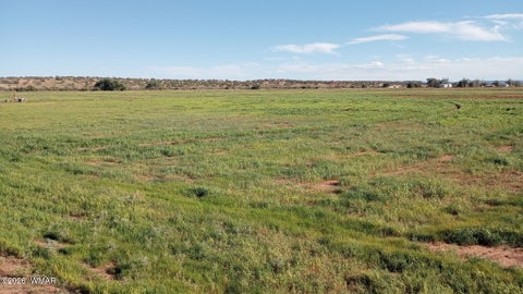 Tiny photo for 9656 Woodruff Hay Hollow Road, Snowflake, AZ 85937 (MLS # 262271)
