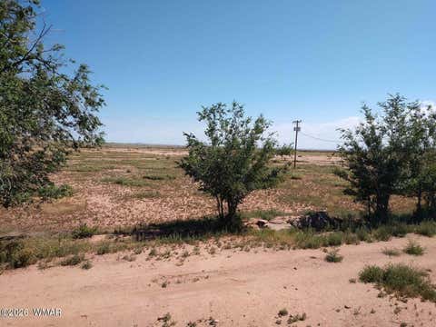 Tiny photo for 9656 Woodruff Hay Hollow Road, Snowflake, AZ 85937 (MLS # 262271)