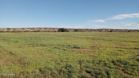Tiny photo for 9656 Woodruff Hay Hollow Road, Snowflake, AZ 85937 (MLS # 262271)