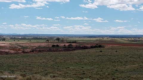 Tiny photo for 9656 Woodruff Hay Hollow Road, Snowflake, AZ 85937 (MLS # 262271)