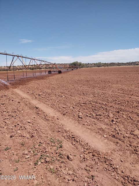 Tiny photo for 9656 Woodruff Hay Hollow Road, Snowflake, AZ 85937 (MLS # 262271)