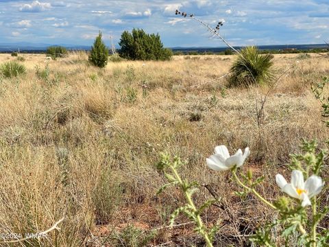 Photo of 5494 Glasglow Drive, Snowflake, AZ 85937 (MLS # 257719)