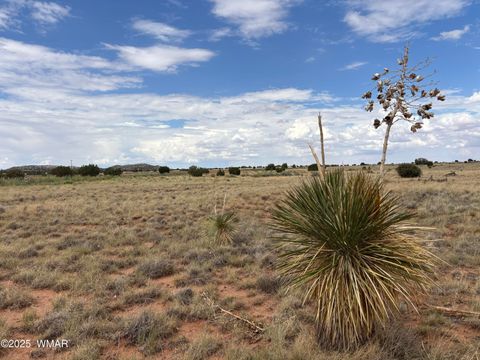Tiny photo for 5494 Glasglow Drive, Snowflake, AZ 85937 (MLS # 257719)