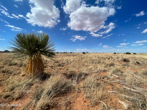 Tiny photo for 5494 Glasglow Drive, Snowflake, AZ 85937 (MLS # 257719)