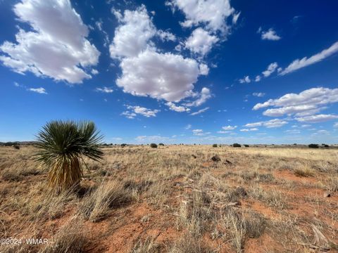 Tiny photo for 5494 Glasglow Drive, Snowflake, AZ 85937 (MLS # 257719)