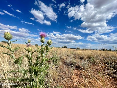 Tiny photo for 5494 Glasglow Drive, Snowflake, AZ 85937 (MLS # 257719)