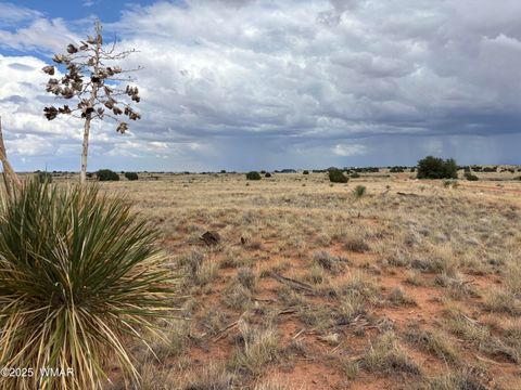 Tiny photo for 5494 Glasglow Drive, Snowflake, AZ 85937 (MLS # 257719)
