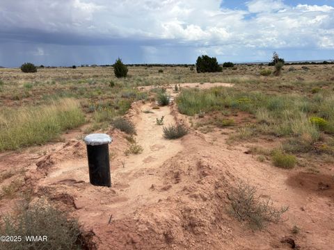 Tiny photo for 5494 Glasglow Drive, Snowflake, AZ 85937 (MLS # 257719)