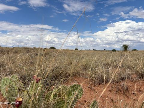 Tiny photo for 5494 Glasglow Drive, Snowflake, AZ 85937 (MLS # 257719)