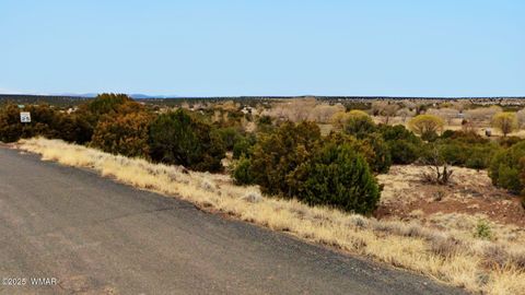 Tiny photo for 83 County Road 5083, Concho, AZ 85924 (MLS # 258761)