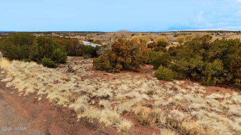 Tiny photo for 83 County Road 5083, Concho, AZ 85924 (MLS # 258761)